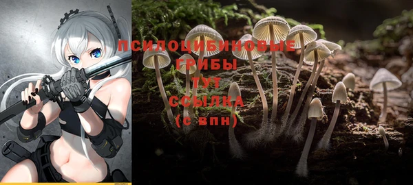 эйфоретик Верхний Тагил
