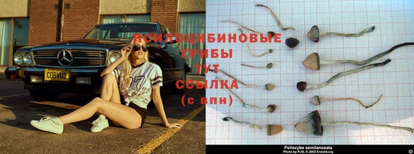 амфетамин Верея