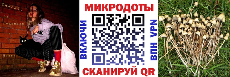 ссылка на мегу сайт  Кизляр  Галлюциногенные грибы прущие грибы 